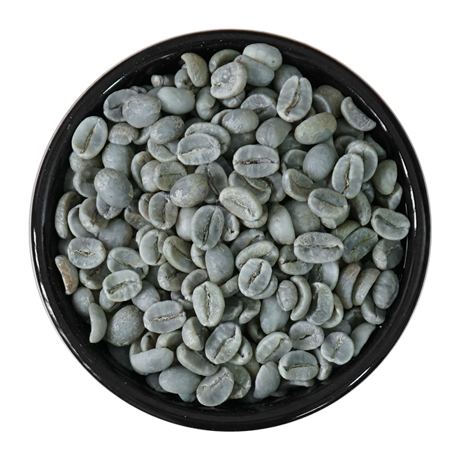 coffee-beans-arabica-and-robusta-tanisimex